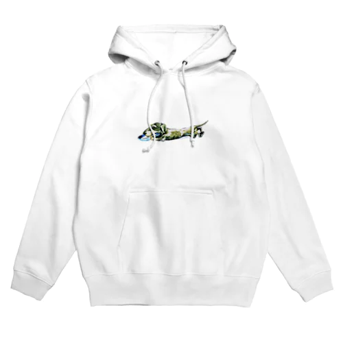 遊ぶワイヤーダックス Hoodie