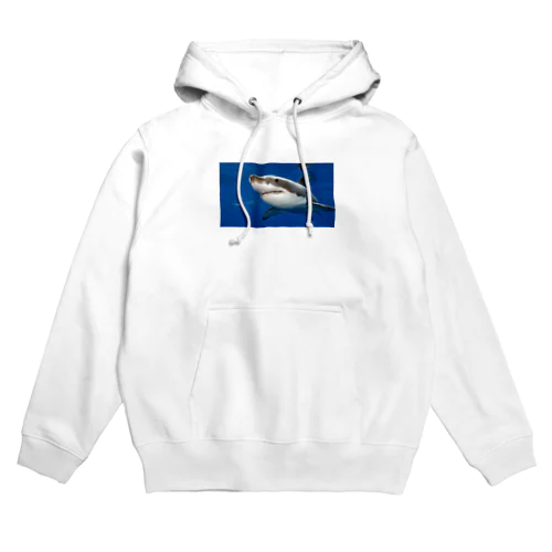 海のキングホウジロサメが登場 Hoodie