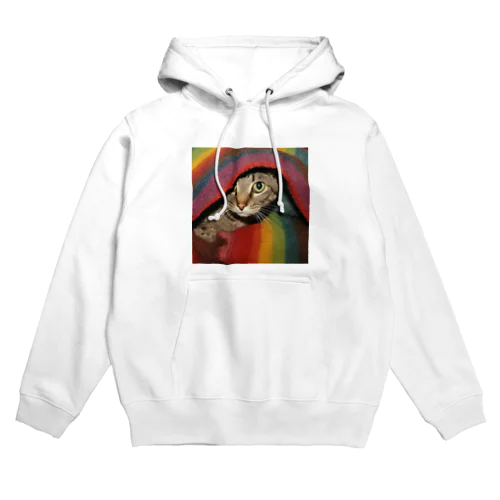 ブランケット猫 Hoodie