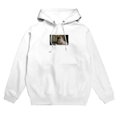 ウエディングドレスを着た猫 Hoodie