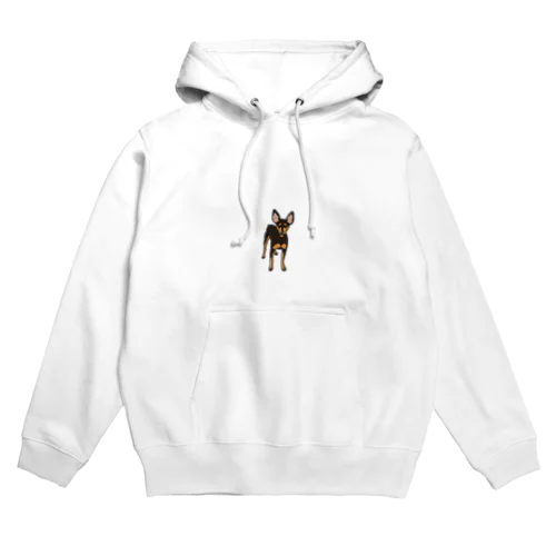 Miniature pinscher Hoodie