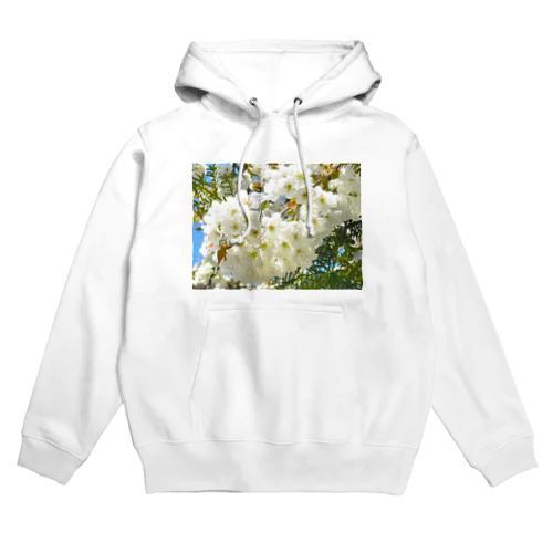 白桜 Hoodie