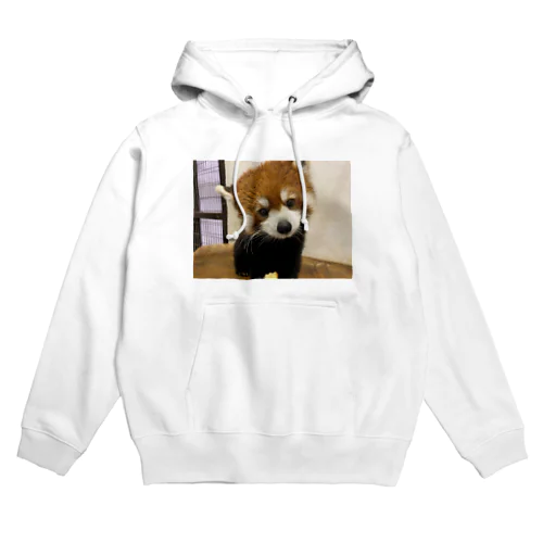 レッサーパンダ Hoodie