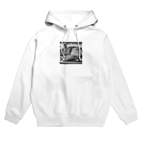 貨物機と貨物船融合 Hoodie