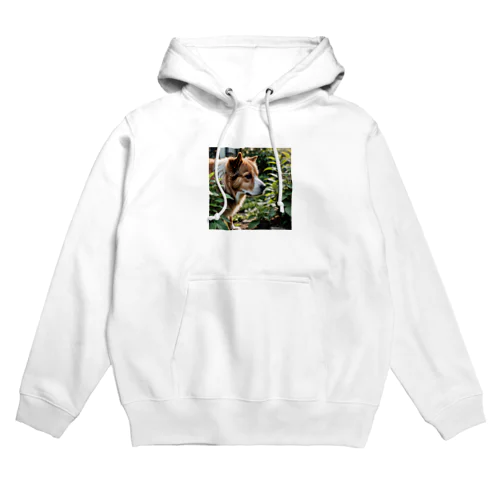 草と犬 Hoodie