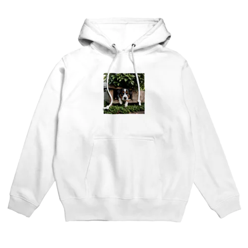 箱の中から覗く犬 dog looking in the box Hoodie