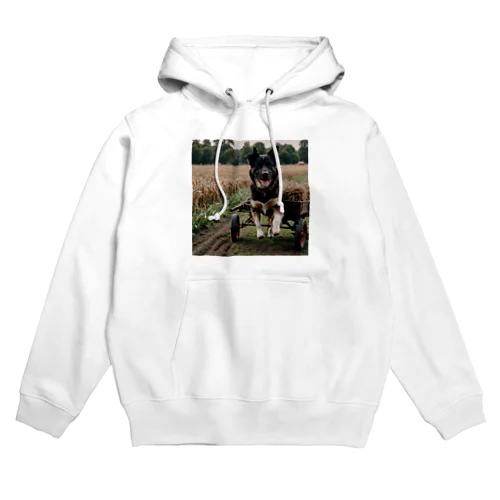 このキュートな写真では、リヤカーを引っ張る愛らしい犬が登場♪  Hoodie