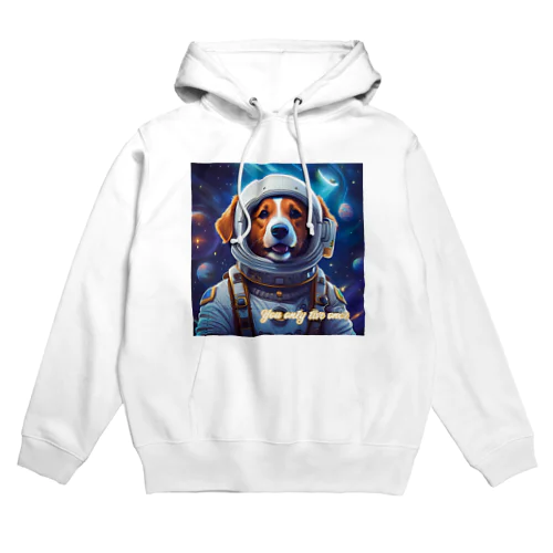 ここまで飛んできて！　Fly here! Hoodie