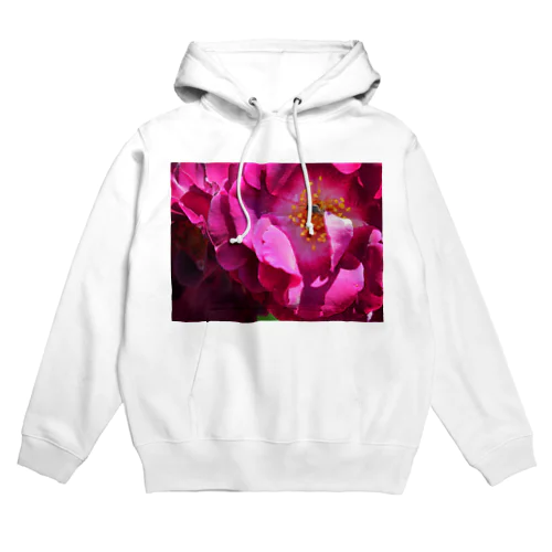 華やかな舞踏会！美しいバラを舞台に華麗なダンスをするハチ Hoodie