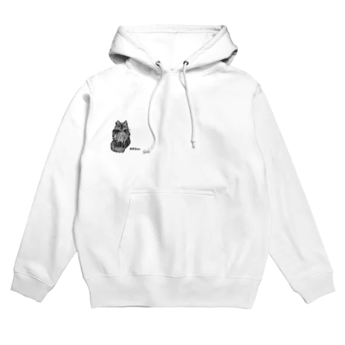 あざといのは知ってる Hoodie