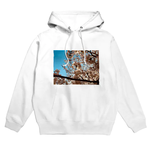 桜 Hoodie