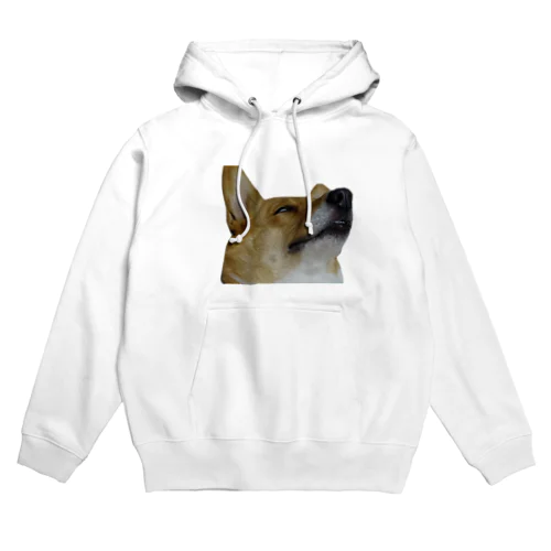 犬の寝顔 Hoodie