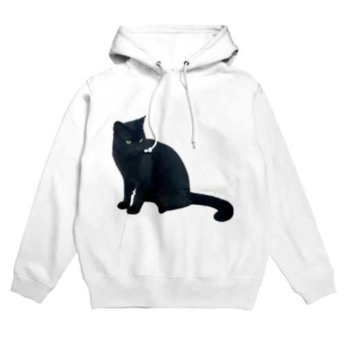 Stray cat kuro♂ Hoodie