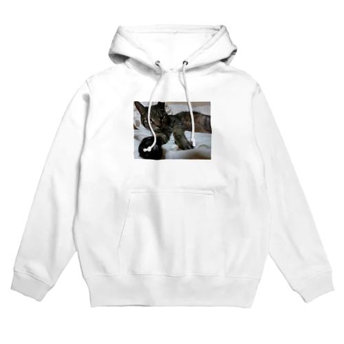 マックと握手 Hoodie