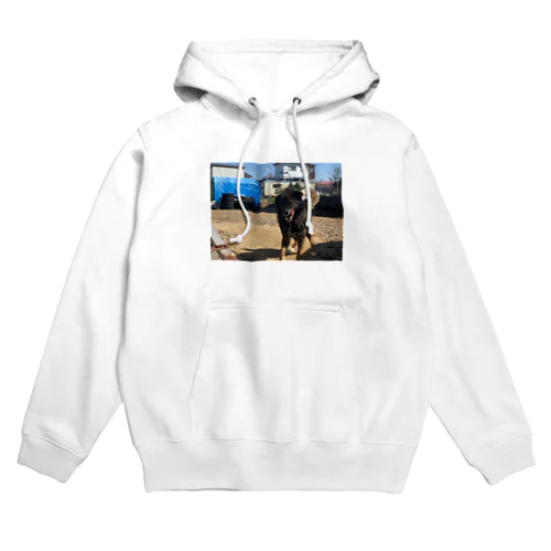 元気犬 Hoodie