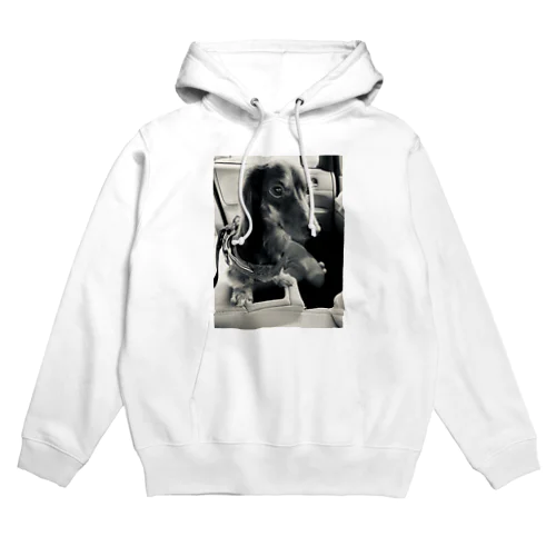 チョコタン  ミニチュアダックス Hoodie