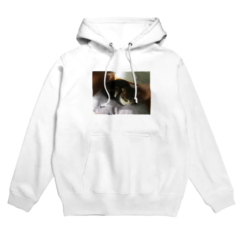 猫 Hoodie