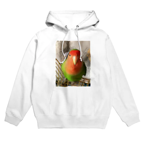 インコ界の用心棒、ジェイド之介 Hoodie