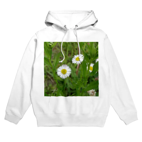 ヒメジョオンの花 Hoodie