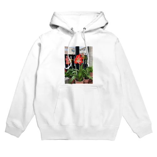 アマリリス Hoodie