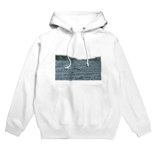 朝方の浜辺 Hoodie