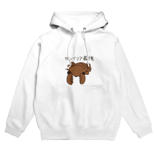 カンブリア最強生物 アノマロカリス Hoodie