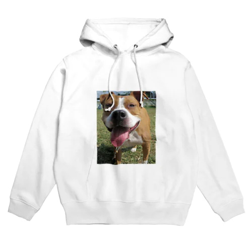 ブサ顔犬 Hoodie