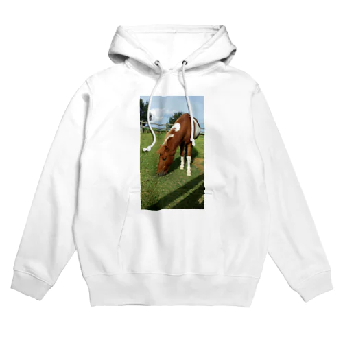 ポニーポニー Hoodie