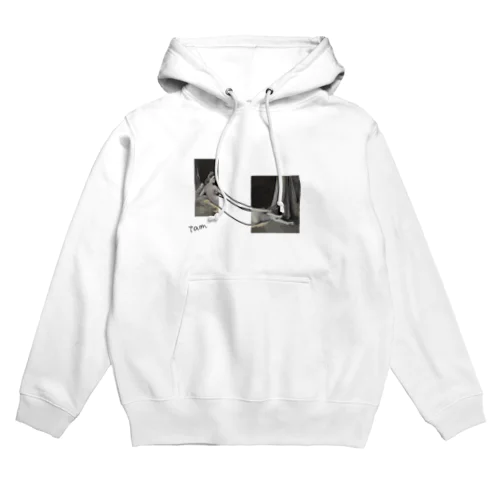 museum Tシャツ/グランド・オダリスク Hoodie