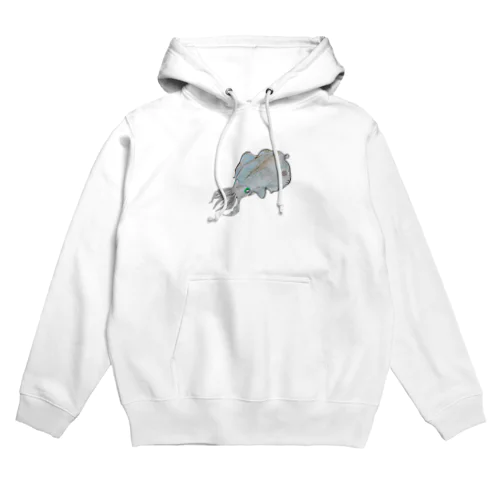 Aori-ika 【fishing style】 Hoodie