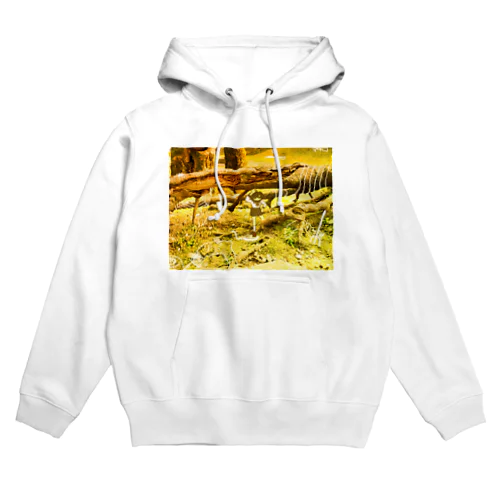 くぐり抜けた先の Hoodie