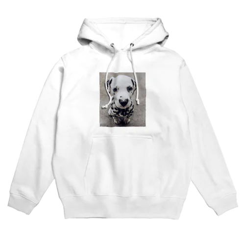 Heart dog  Hoodie