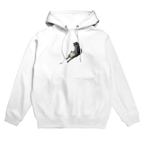 お座りとらくん Hoodie