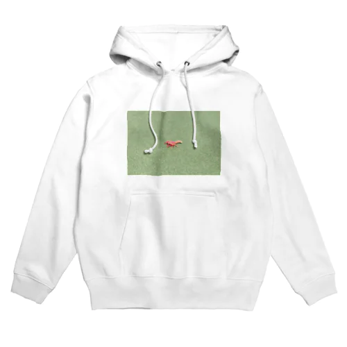 散歩道 Hoodie