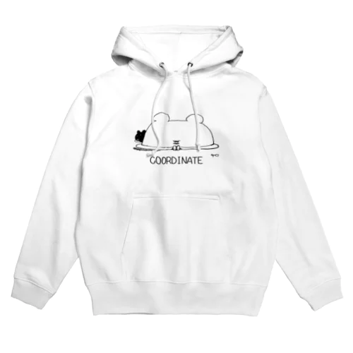 coordinate Hoodie