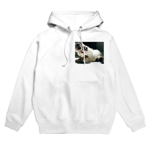 のびのび〜りんごくん Hoodie