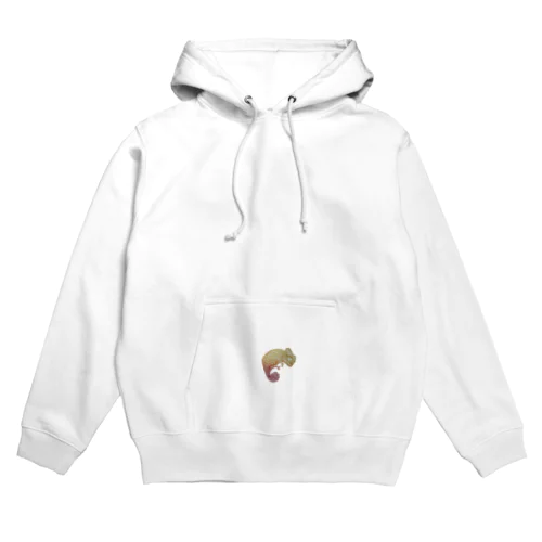 カラフルカメレオン Hoodie