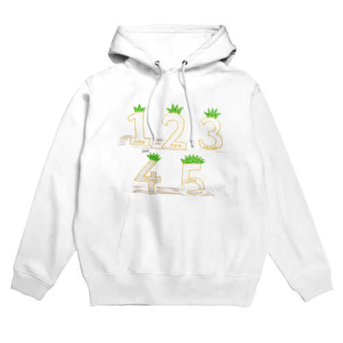 numbercarrot Hoodie