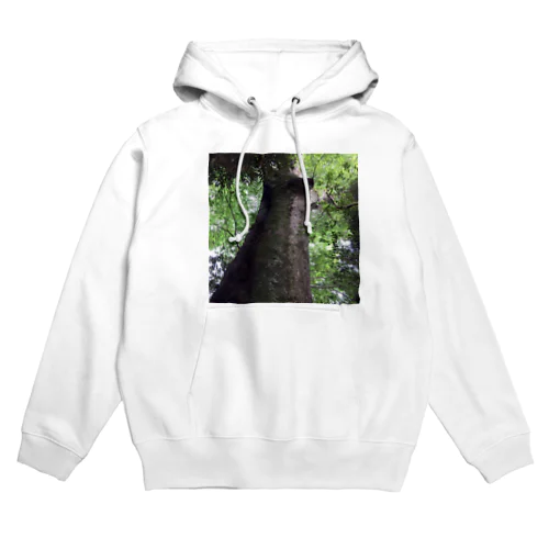 樹の生命力 Hoodie