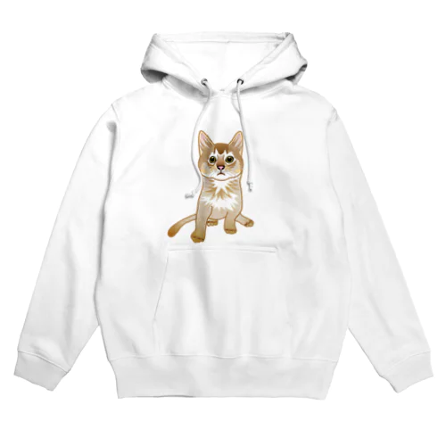 もう猫なんて嫌い！ソマリ Hoodie