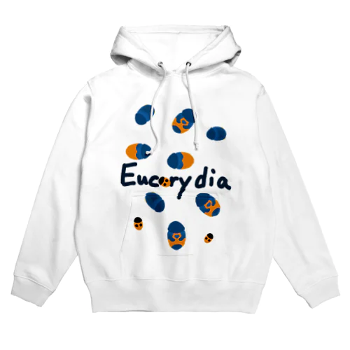 ルリゴキブリ達の集い Hoodie