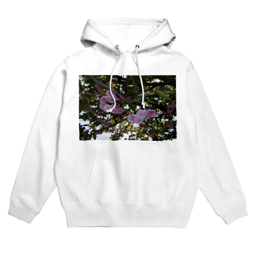 残った桜 Hoodie