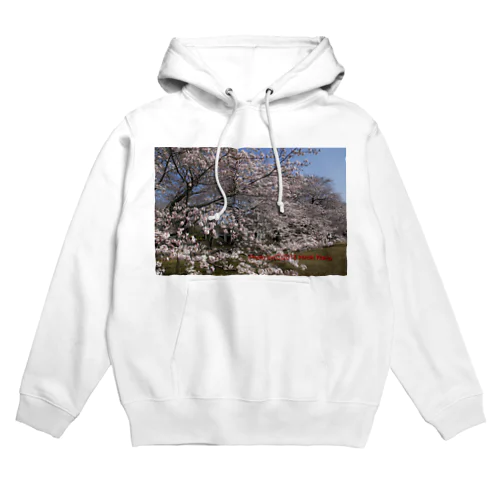 光景　sight0070　桜　2015_015　サクラ Hoodie