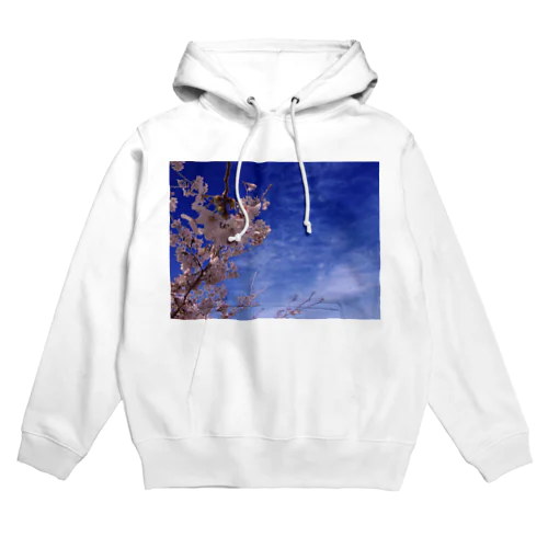 桜　サクラ　cherry blossom DATA_P_093 Hoodie