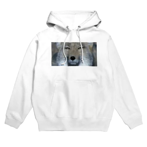 チベスナと共に見つめる5 ステッカー Hoodie