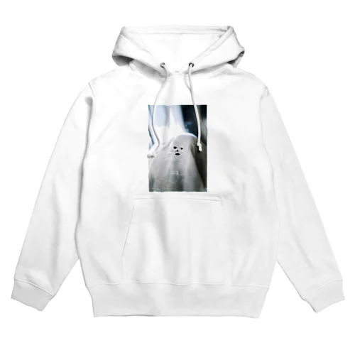 洗濯機から空を仰ぐ念斗くん Hoodie