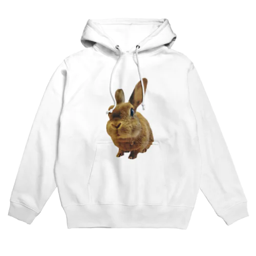 うさぎのふじこちゃん Hoodie