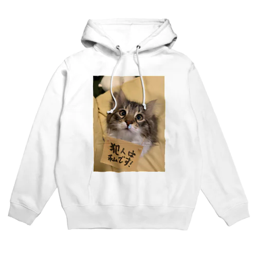 こまい犯人は私です Hoodie