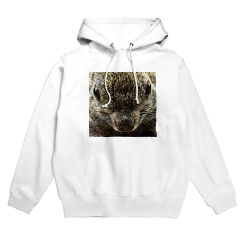 リス Hoodie