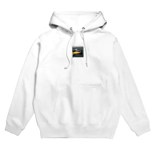 超強力绿ペン型レーザーポインター体観測 Hoodie